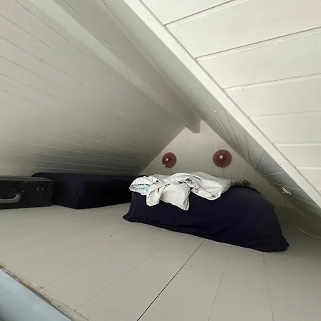 Cozy With Character Nyaraló *